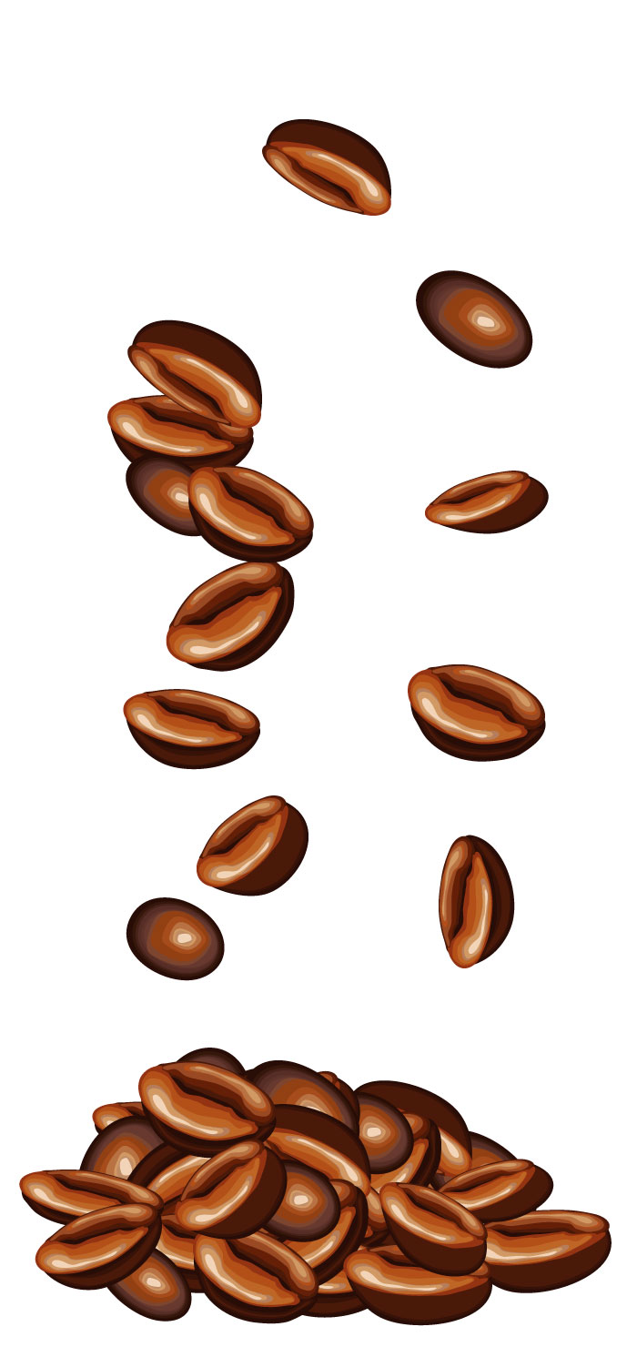 コーヒー豆の無料イラスト