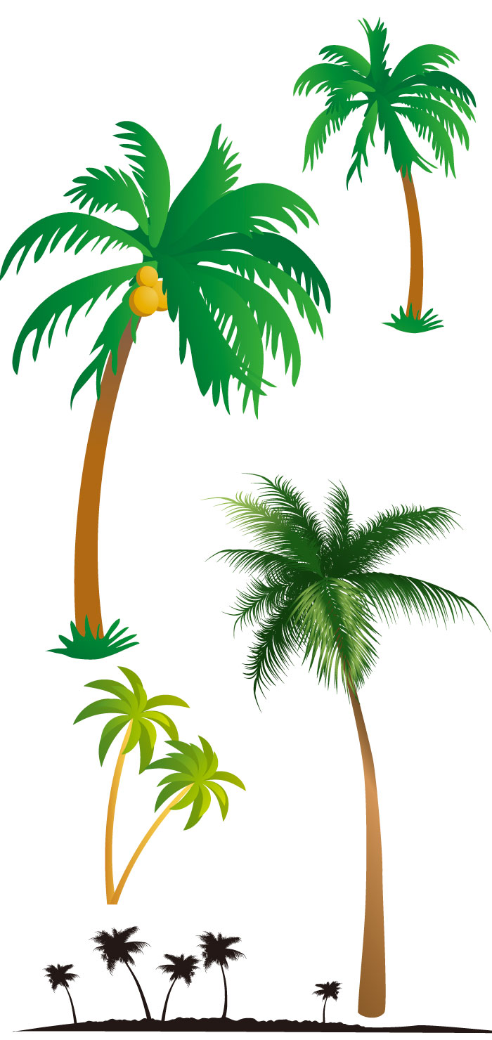 夏の椰子の木の無料イラスト